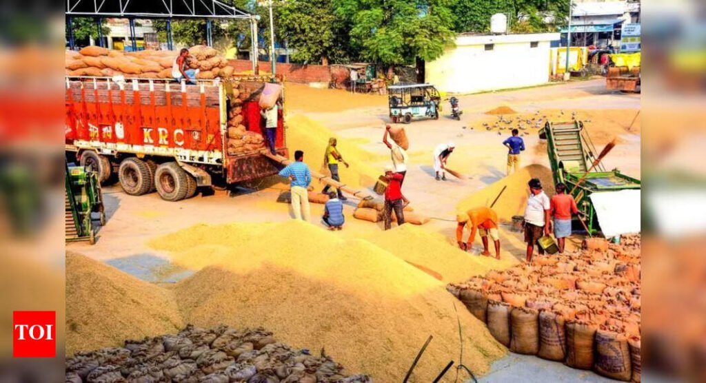 Just over 25% of Punjab’s paddy procurement target arrives in grain markets so far | Chandigarh News Just over 25% of Punjab’s paddy procurement target arrives in grain markets so far | Chandigarh News