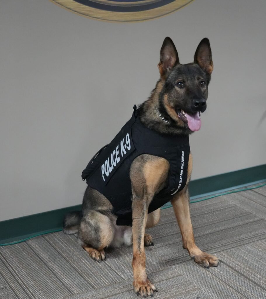 Clarksville PD K9 Saban safer with donation of body armor | NewsRadio 1230 AM/99.3 FM | Hopkinsville's News Leader