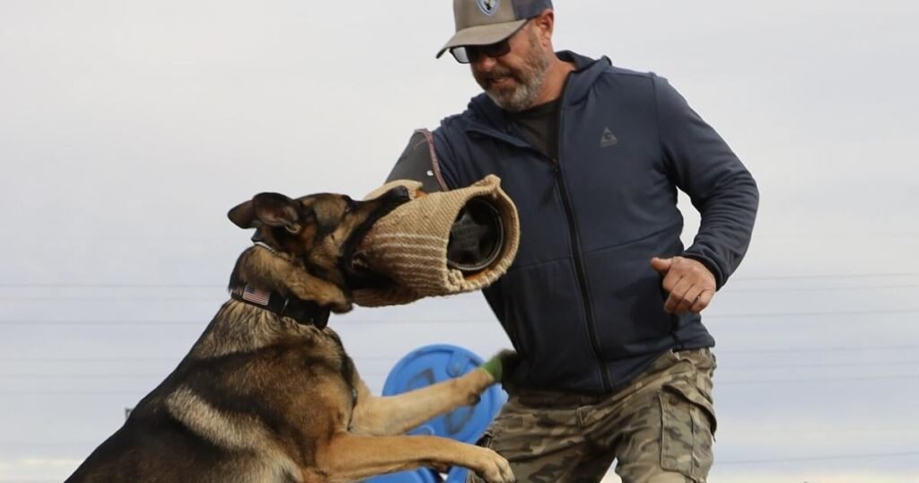 Companions first, protection second: Armor K9 trains confident dogs and prepared owners