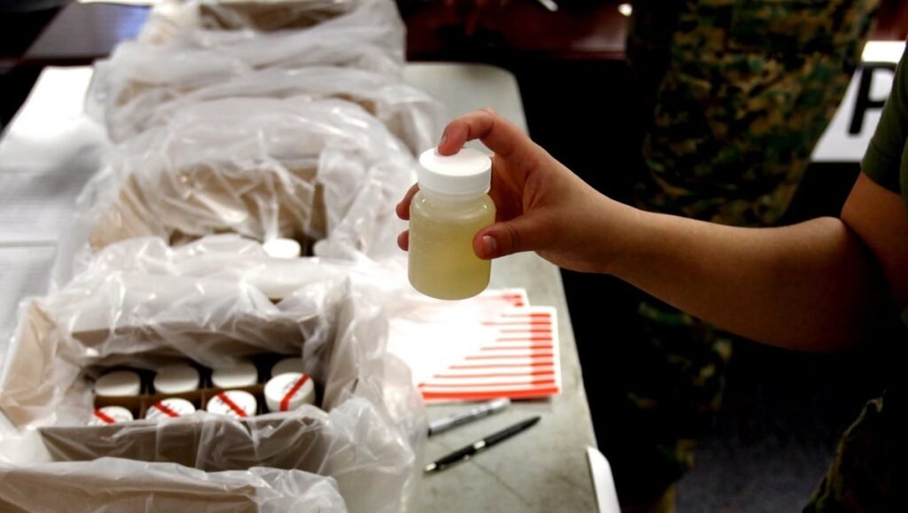 Navy bans sailors from using kratom, other drugs