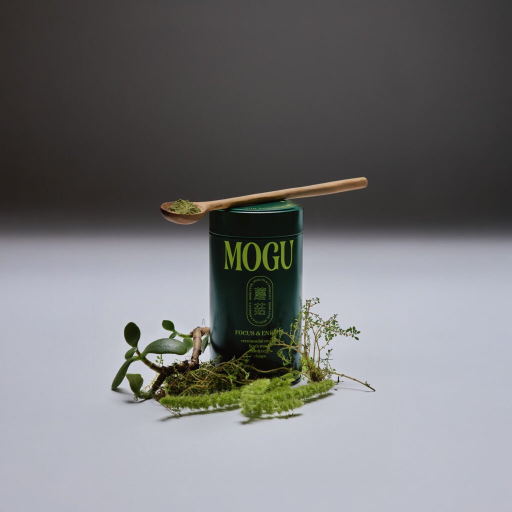 8 Reasons Why Functional Mushrooms Might be Perfect for You 8 Reasons Why Functional Mushrooms Might be Perfect for You