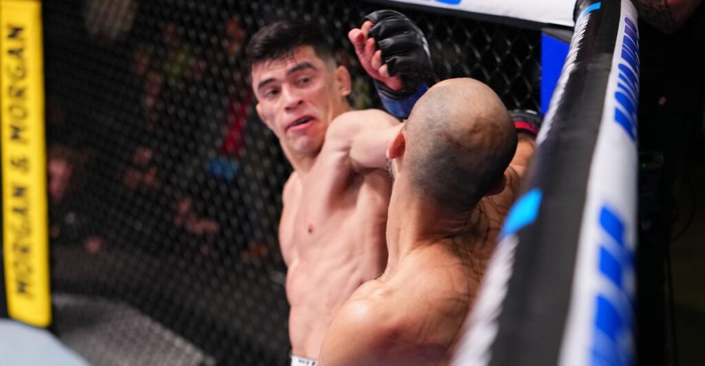 UFC Vegas 114 predictions | MMA Fighting