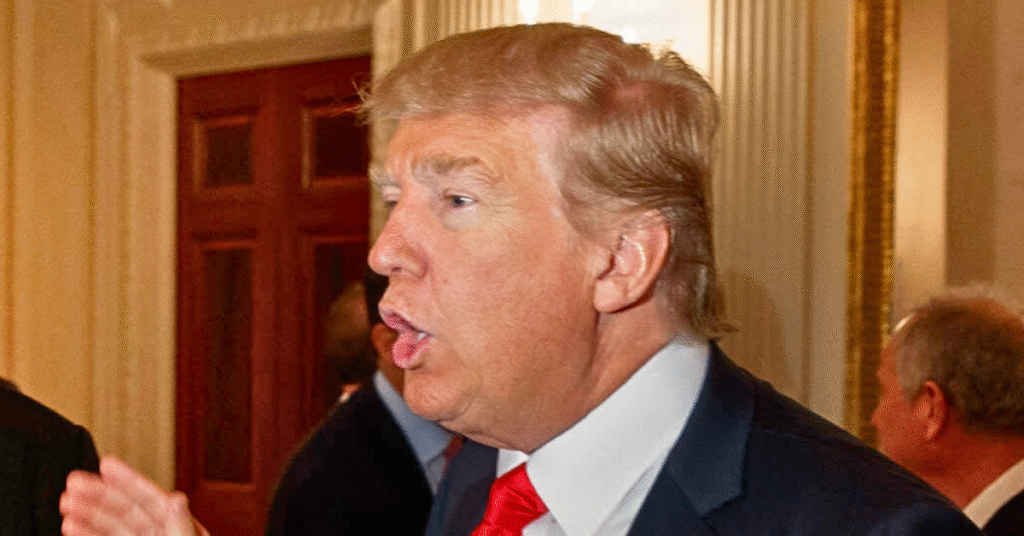 UFC Veteran Explains Why He Regrets Voting for Donald Trump