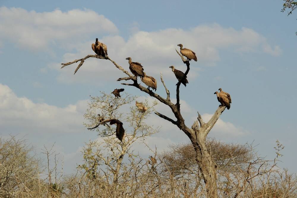 We predict an agentic AI enterprise hype fest • The Register