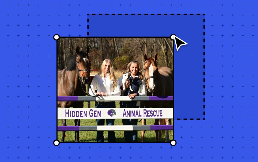 How Murphy Levesque’s WordPress.com Site Helped Rescue 100+ Animals Murphy Levesque Co-Founded an Animal Rescue at 11. Her WordPress.com Site Helped Save Over 100 Animals.