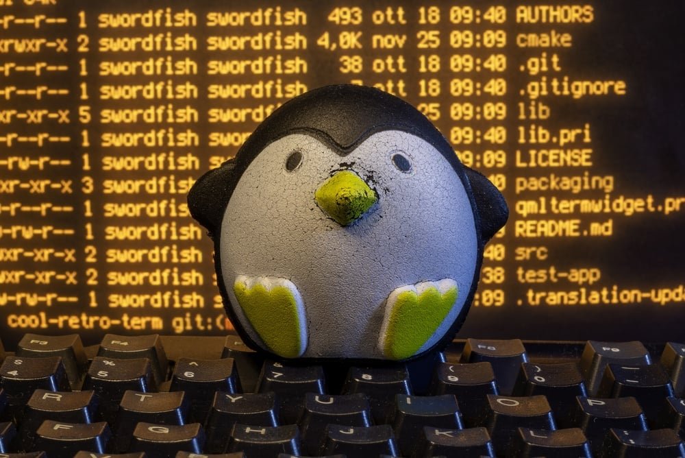 'CopyFail' attackers start cashing in on Linux flaw • The Register