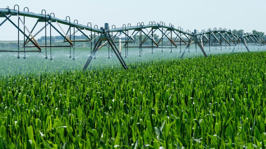 How the US can help ease rising fertilizer prices How the US can help ease rising fertilizer prices