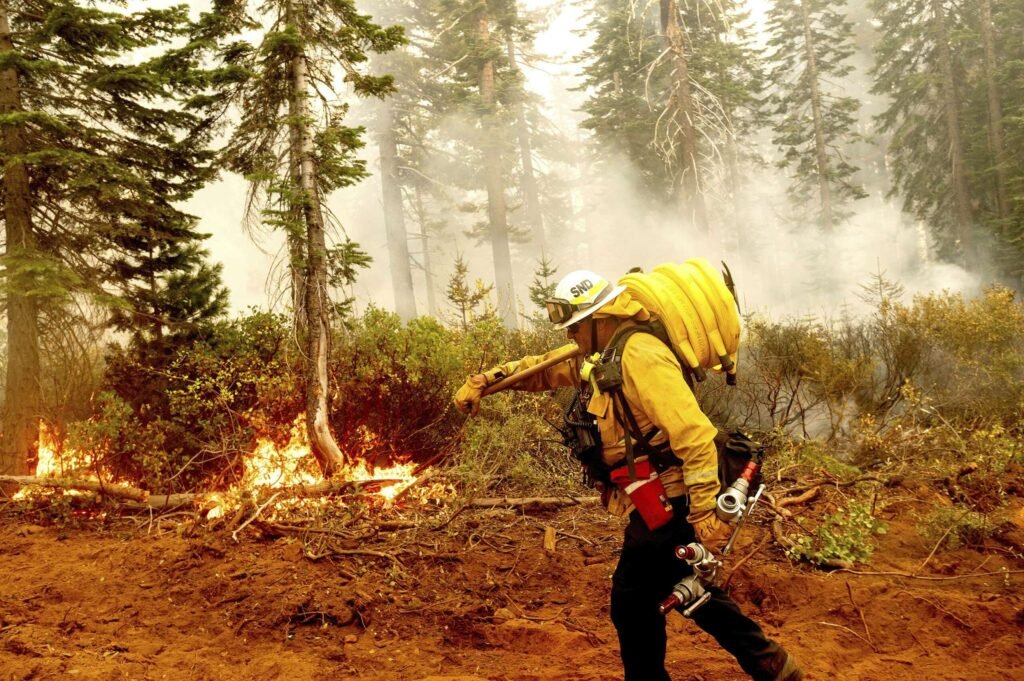 Federal wildland firefighters report increased burnout, low morale Federal wildland firefighters report increased burnout, low morale