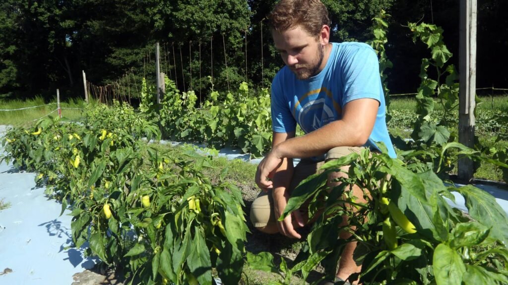 $100,000 Donation Expands Grants for Veterans Starting Farming Businesses $100,000 Donation Expands Grants for Veterans Starting Farming Businesses