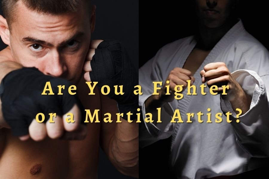 Are You a Fighter or a Martial Artist? Are You a Fighter or a Martial Artist?
