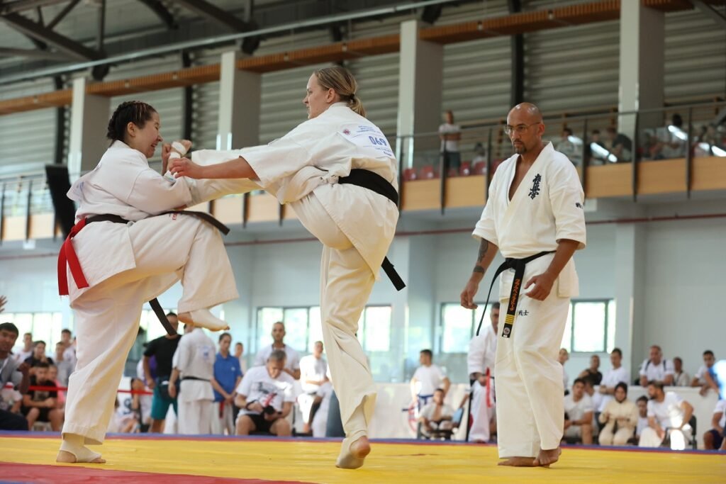 Can Traditional Martial Arts like Kyokushin karate Still Grow in the Age of MMA? Can Traditional Martial Arts like Kyokushin karate Still Grow in the Age of MMA?