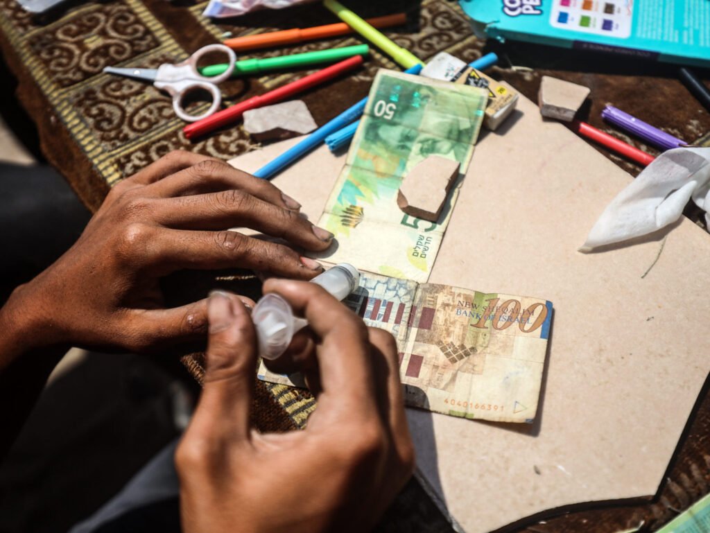 Currency policy options for the Palestinian economy