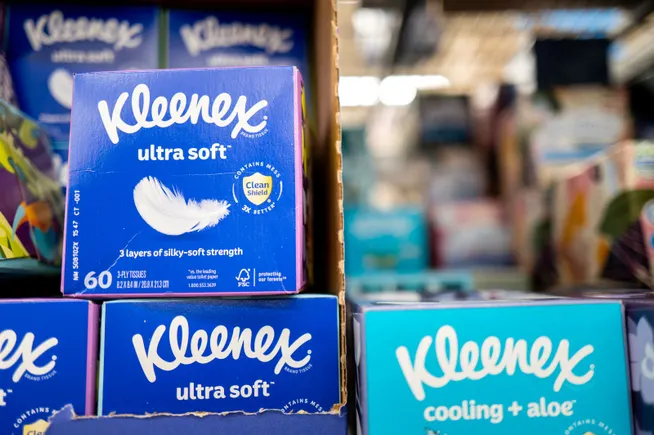 Kimberly-Clark tests new fiber for sourcing resiliency, sustainability Kimberly-Clark tests new fiber for sourcing resiliency, sustainability