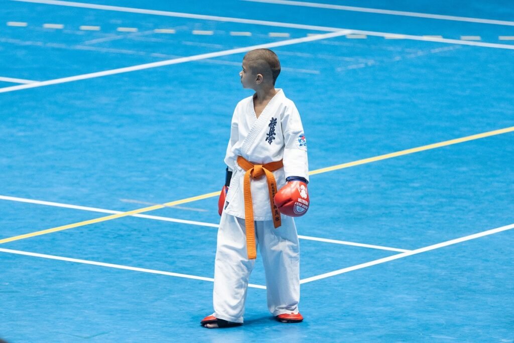 Martial Arts Supports Emotional Intelligence Martial Arts Supports Emotional Intelligence