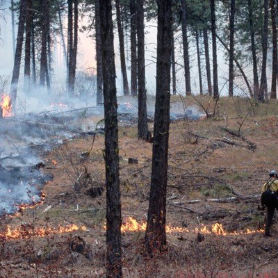 OPM finalizes expanded hazard pay for federal firefighters OPM finalizes expanded hazard pay for federal firefighters