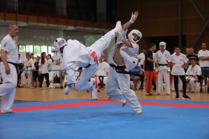 Prioritizing Mental Health for Young Martial Artists Prioritizing Mental Health for Young Martial Artists