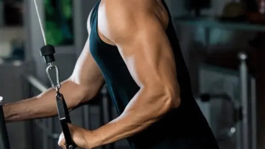 3 Best Beginner Exercises for Massive Muscle Mass for Your Triceps 3 Best Beginner Exercises for Massive Muscle Mass for Your Triceps
