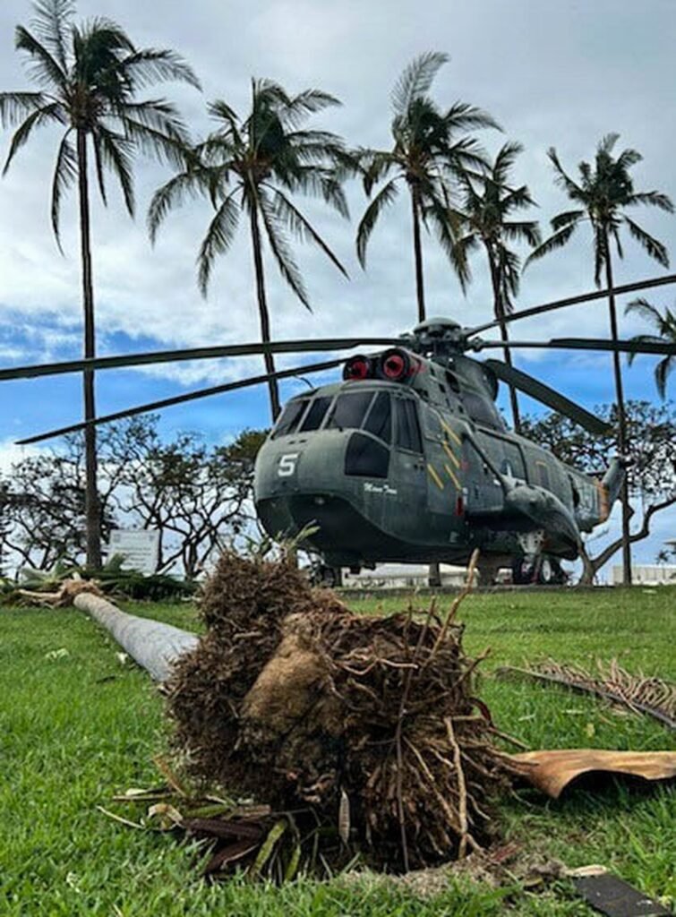 DVIDS – News – PMRF announces TCCOR All Clear following initial storm recovery operations DVIDS - News - PMRF announces TCCOR All Clear following initial storm recovery operations