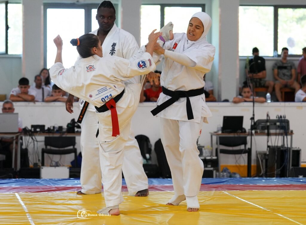 How does Kyokushin karate compare to Shotokan karate? How does Kyokushin karate compare to Shotokan karate?