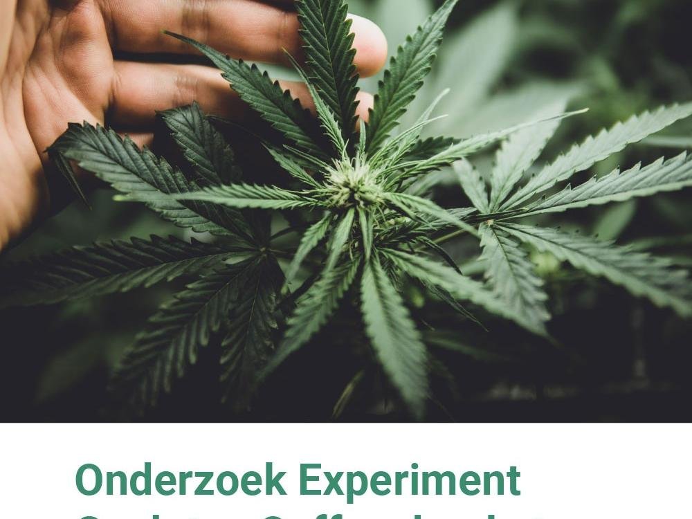 Onderzoek Experiment gesloten coffeeshopketen: Rapportage eerste vervolgmeting 2025: Study in support of the Controlled Cannabis Supply Chain Experiment: Baseline report 2025 Onderzoek Experiment gesloten coffeeshopketen: Rapportage eerste vervolgmeting 2025: Study in support of the Controlled Cannabis Supply Chain Experiment: Baseline report 2025