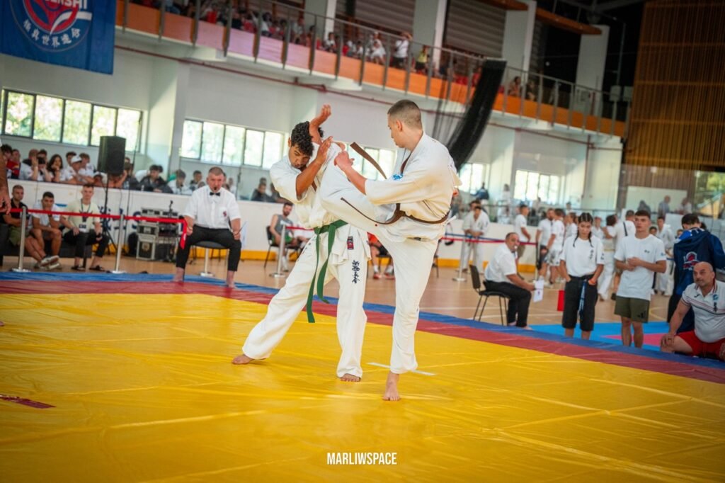 Why Kyokushin Has No Punches to the Face in Knockdown Kumite Knockdown Kumite