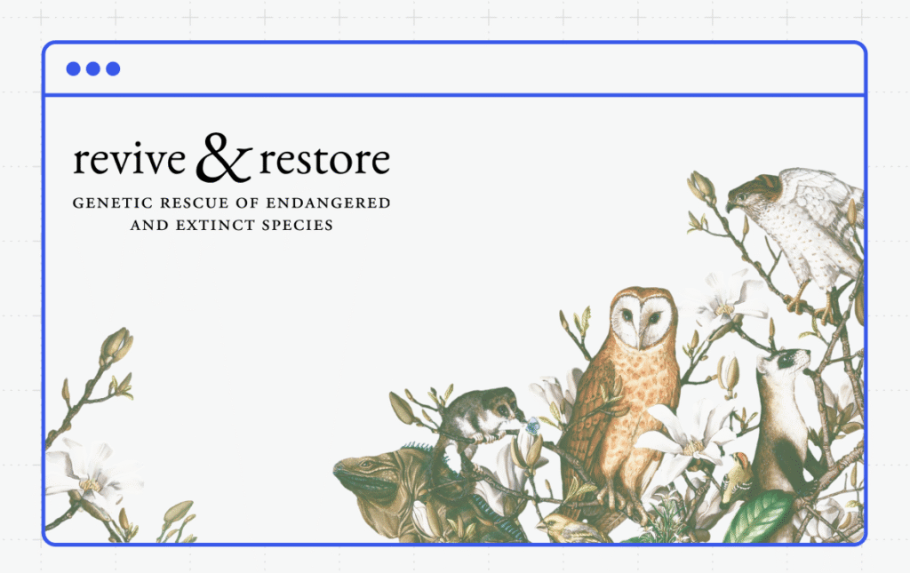 How Nonprofit Revive & Restore Moved to WordPress.com